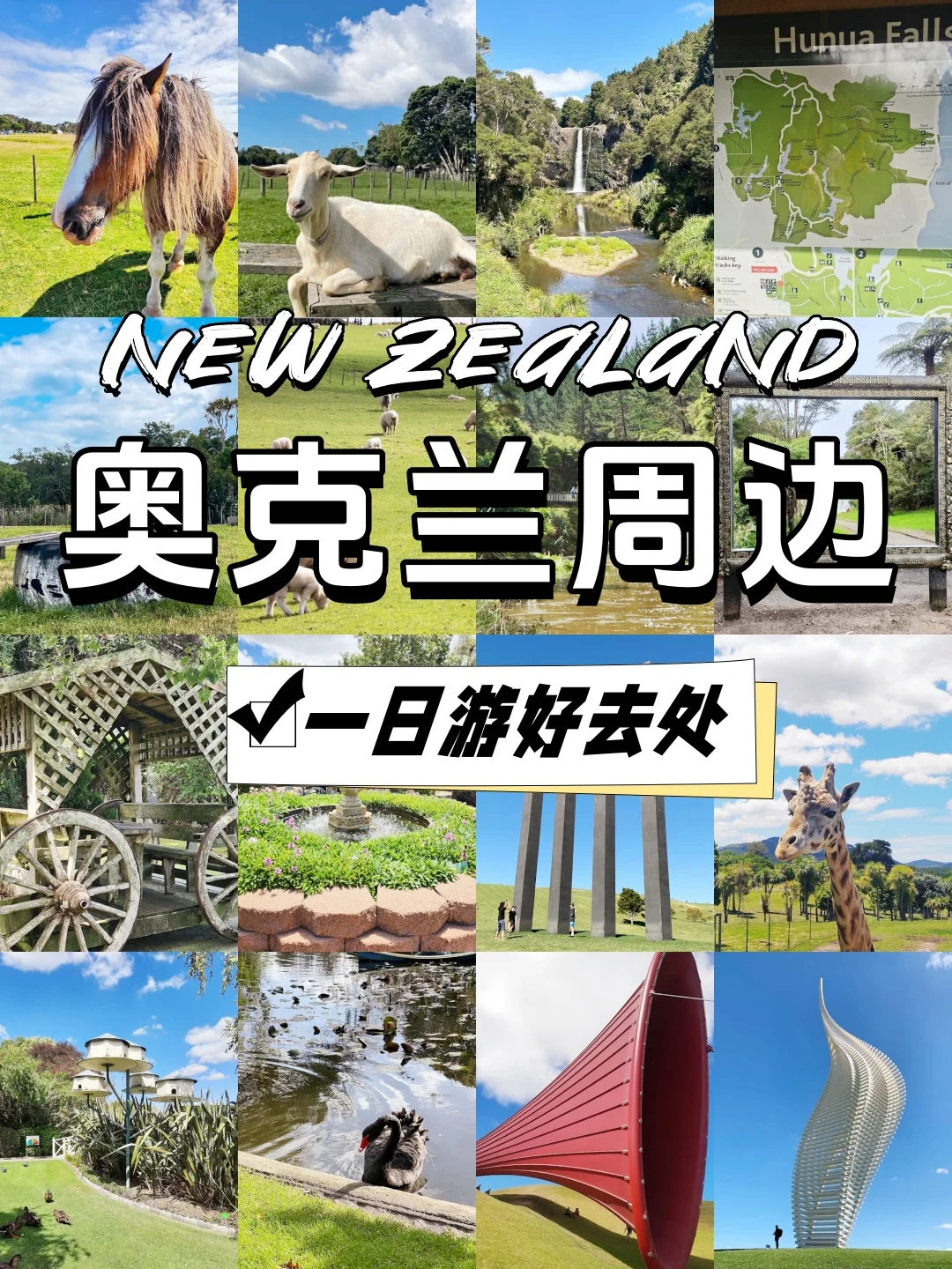 探索奥克兰周边适合周末短途游的理想目的地|新西兰指南