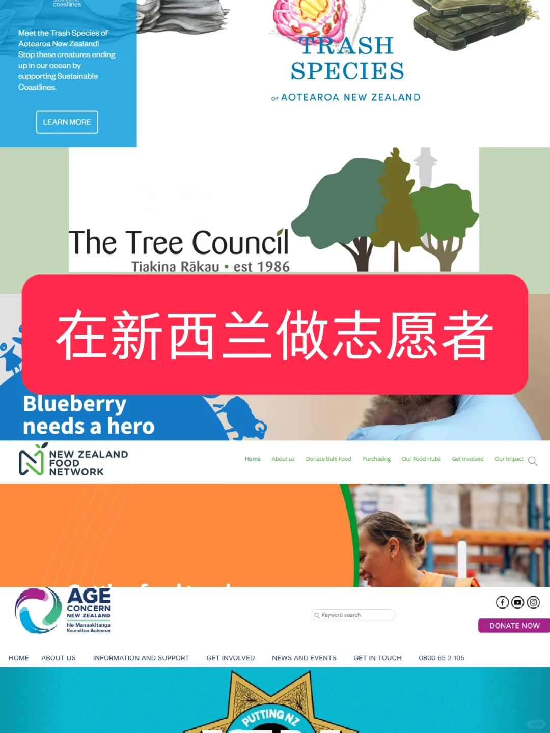 新西兰志愿者活动推荐：为社区贡献力量的机会|新西兰指南