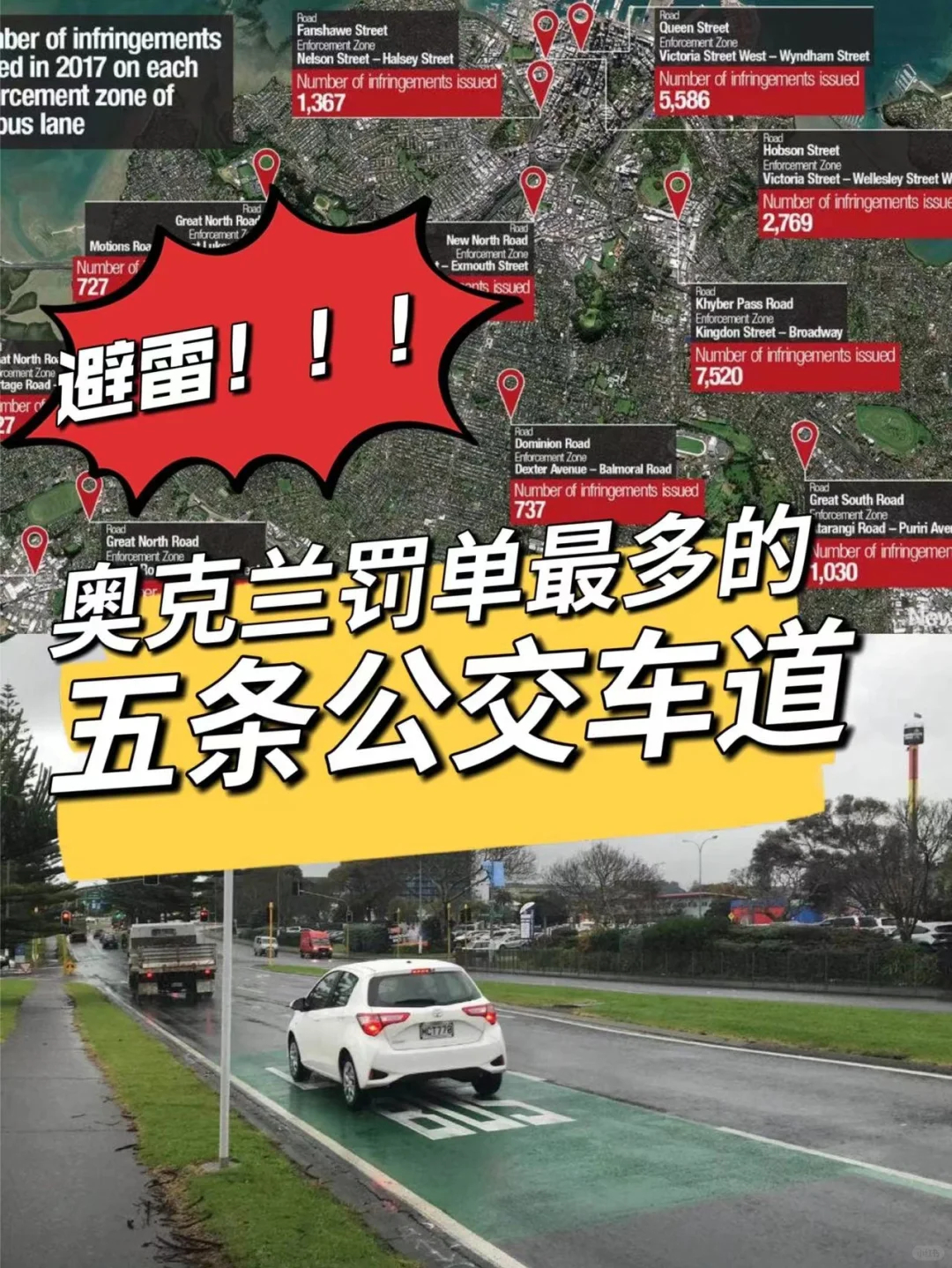 奥克兰最严罚款公交车道汇总|新西兰指南