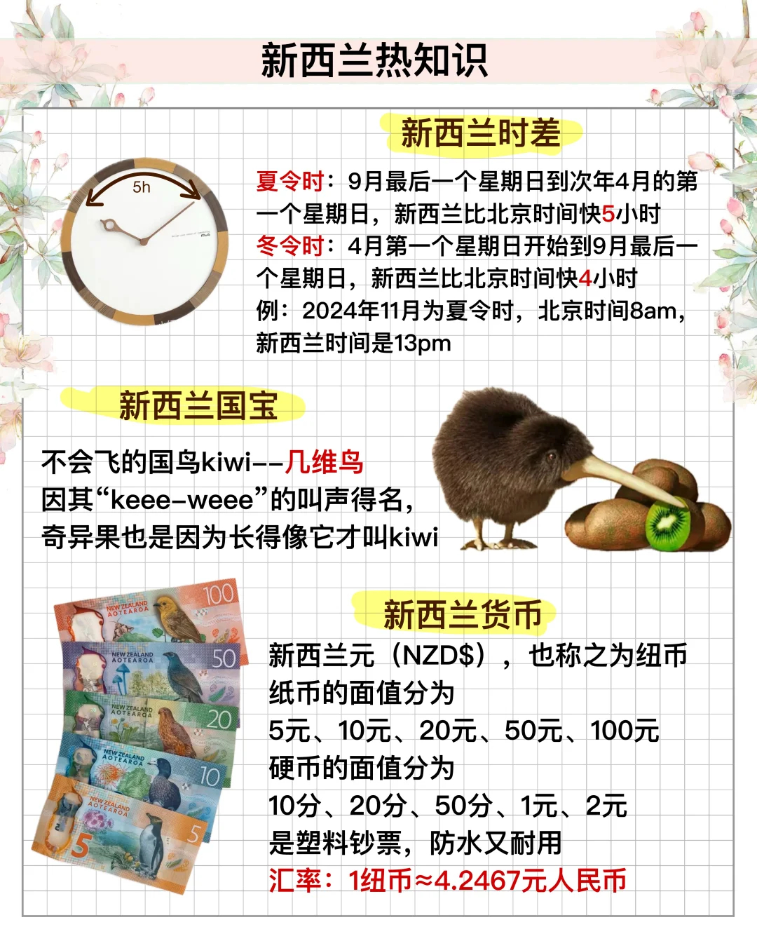 新西兰旅游攻略：实用提示与信息