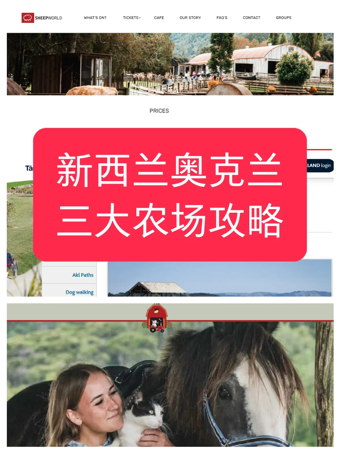 探访奥克兰三大热门农场，亲子游的理想选择