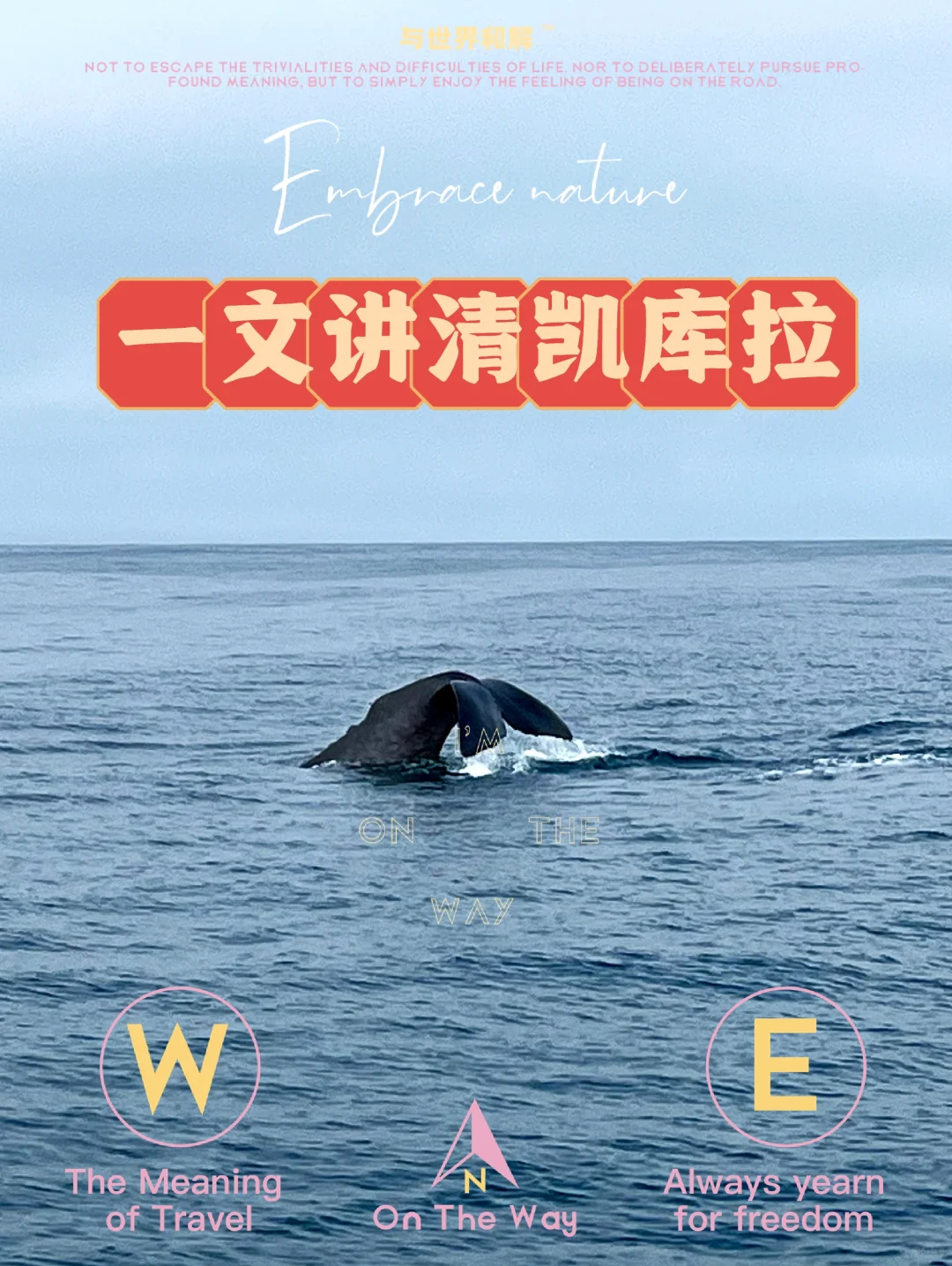 凯库拉旅游必去体验