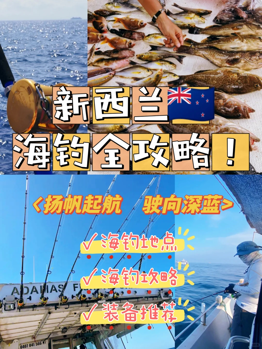 新西兰海钓攻略：留学生的钓鱼乐园