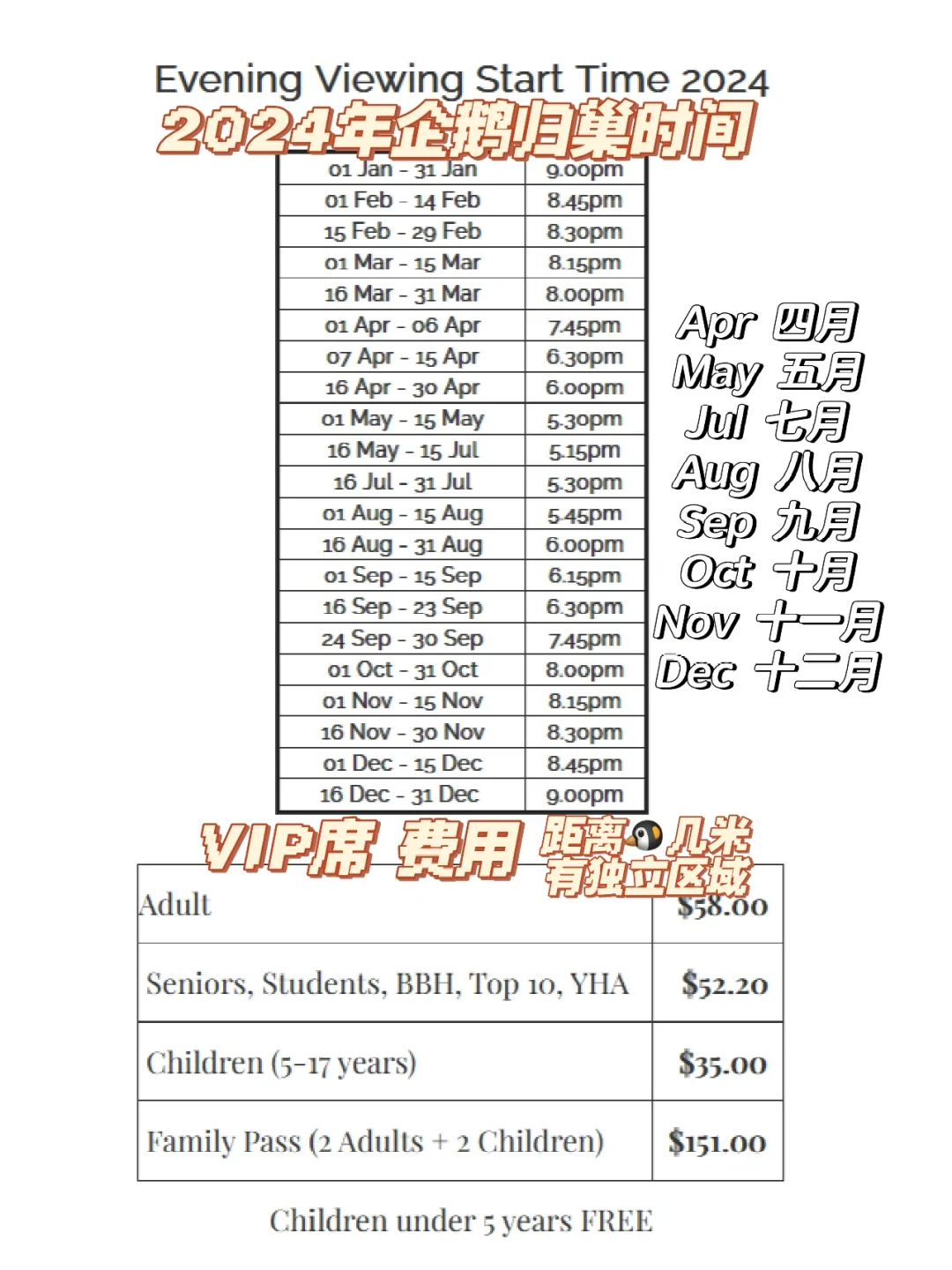 2024年世界企鹅日：奥马鲁小蓝企鹅的迷人世界