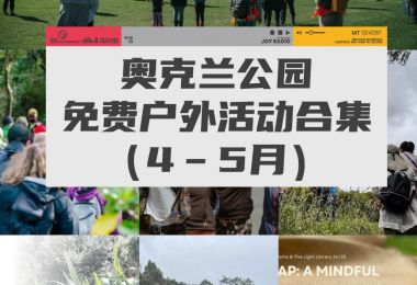 奥克兰公园免费户外活动合集（4–5月）