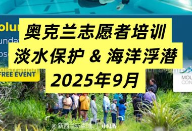 奥克兰志愿者培训｜淡水保护&海洋浮潜